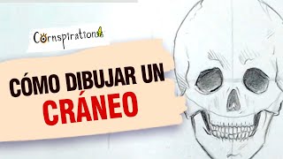 Cómo dibujar Cráneos 💀💀💀