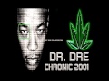 Dr.Dre (Feat. Hittman & Ms.Roq) - Murder Ink  [The Chronic]