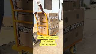 500Kg Capacity Heavy Duty Load Platform Trolley | Industrial & Warehouse Use | Welbuilt