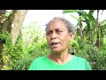 Importance of tree - National tree planting day 2022 | VBTC News