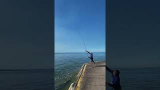 tips how to do fishing #Brisbane #Australia