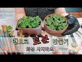 🌱재활용 캔으로 토분 만들기,장미허브 삽목,다이소 추천템,베란다정원,연못구경하세요,veranda flower bed,recycle