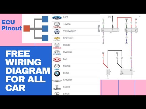 Wiring Diagram for all Car | ecm pinout | free wiring diagram | car wiring diagram app