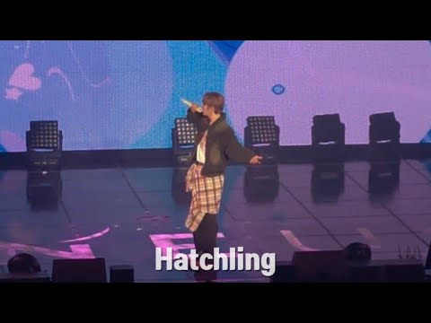 [원어스서호] 서호(SEOHO) Hatchling | 250201