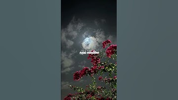قران كريم 🖤 #اكسبلور #المصحف #لايك #الرحمن