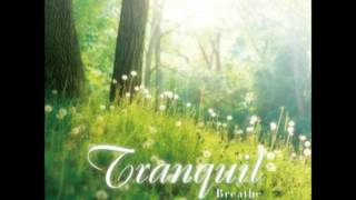 Tranquil  心靈森呼吸- Thank you for coming into my life