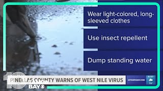 Pinellas County health officials see spike in West Nile Virus