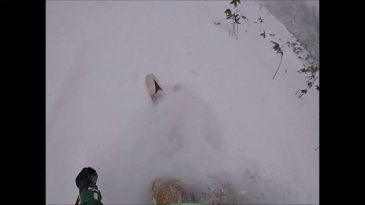 Why did we stay in Niseko?