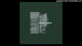 Tortoise - Find the One (Wait, Abstraction No. 3) Net Worth