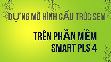 Data240131A:  Dựng mô hình trên SmartPLS4- Cách chạy mô hình sem smart pls- Dịch vụ Smart PLS