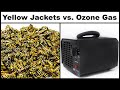 Destroying a Dangerous Yellow Jacket Nest With Ozone Gas. Mousetrap Monday