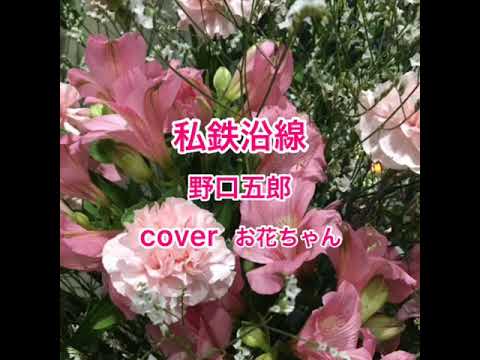 野口五郎   私鉄沿線    ｶﾊﾞ―  お花ちゃん🌸