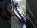 Mzv cobra n8 . I cobra del gufo