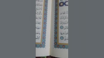 اكتب شيئ تؤجر عليه 🤍😪 quran #قران#تلاوة#خاشعه