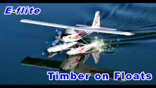 E-flite Timber on Floats