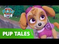 PAW Patrol | Pups Save Sensei Yumi | Rescue Episode | PAW Patrol Official & Friends!