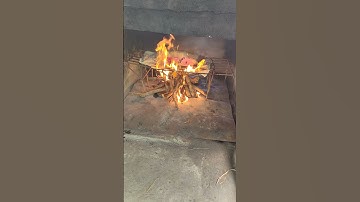 Nhận hỏa táng thú cưng: Chó, Mèo,... tại Cần Thơ. Nhận và giao xương cốt tận nơi. ĐT: 0901014287