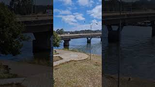 #arauco #ciudaddelviento #lebu #chile #2025 #biobio #gaviotas #lobodemar #pesca #pescadorartesanal