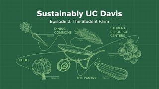 Sustainably UC Davis Episode 2: The Student Farm