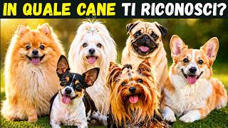 Il Cagnolino che scegli, Rivela la Tua Vera Personalità - Test Psicologico