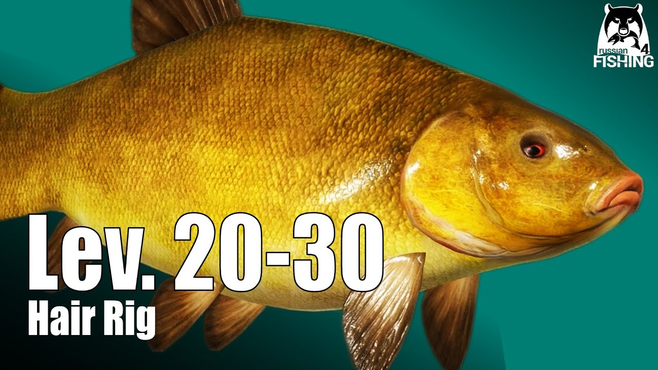 Russian Fishing 4 - Old Burg - Hair rig! For Tench, Gibel carp, and Crucian Carp, Groundbait