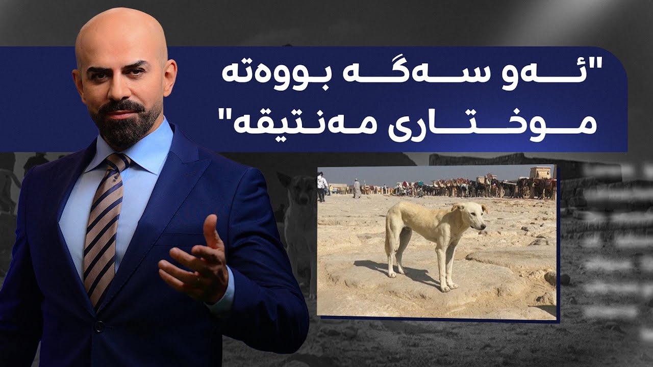 شاهۆ ئەمین باسی سەگێک دەکات لە میسر کە ناوبانگی دەرکردووە؛ 