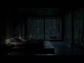 Deep Forest Rain Sounds by a Quiet Cabin 🌧 (No Ads) | Dark Bedroom Ambience for Restful Sleep | ASMR
