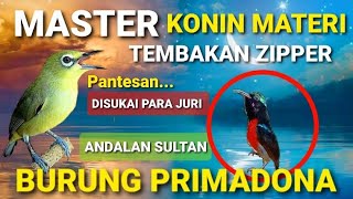 Master konin Gacor  Tembakan Zipper  Andalan Sultan  Burung Primadona 