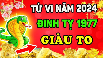 Tử Vi Tuổi Đinh Tỵ 1977 Năm 2024: VƯỢT MỌI TAI ƯƠNG, TÀI LỘC RỰC SÁNG, Tiền Nhét Bục Két