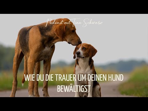 Podcast #142: Wie du die Trauer um Hund bewältigen kannst - YouTube