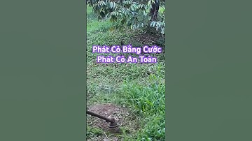 Phát Cỏ Bằng Cước - Máy Phát Cỏ Balô @AnhCắtCỏ #máycắtcỏ #lawncare