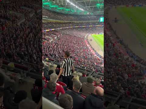 Newcastle fan kicked out of Wembley 🤣 #manutd #toon #fans #security #funny #wembley #final #mufc