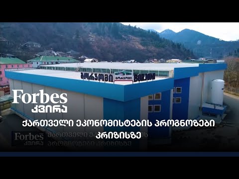 ქართველი ეკონომისტების პროგნოზები კრიზისზე