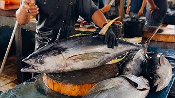 Tuna Cutting Show – Skill & Precision in Real Time