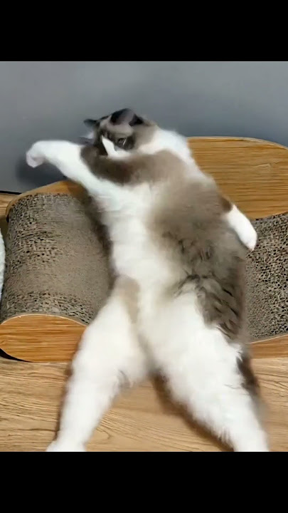 GOOD WORKOUT--DJ Studio wave beats--#musicdjstudiowavebeats