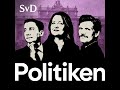 Politiken Wrapped 2025 – årets största politiska snackisar