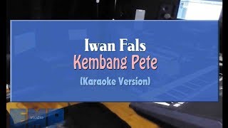 Iwan Fals - Kembang Pete (KARAOKE TANPA VOCAL)