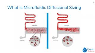 Fluidic Analytics | Affinity of PD-1/PD-L1 interaction - a comparison between SPR, MST, ITC and MDS