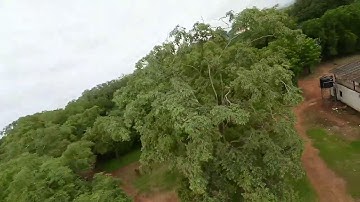 My Dream, Is to Fly - FPV Freestyle Training