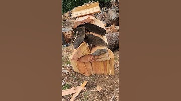 #oneroundchallenge With Douglas Fir and Fiskars #shorts