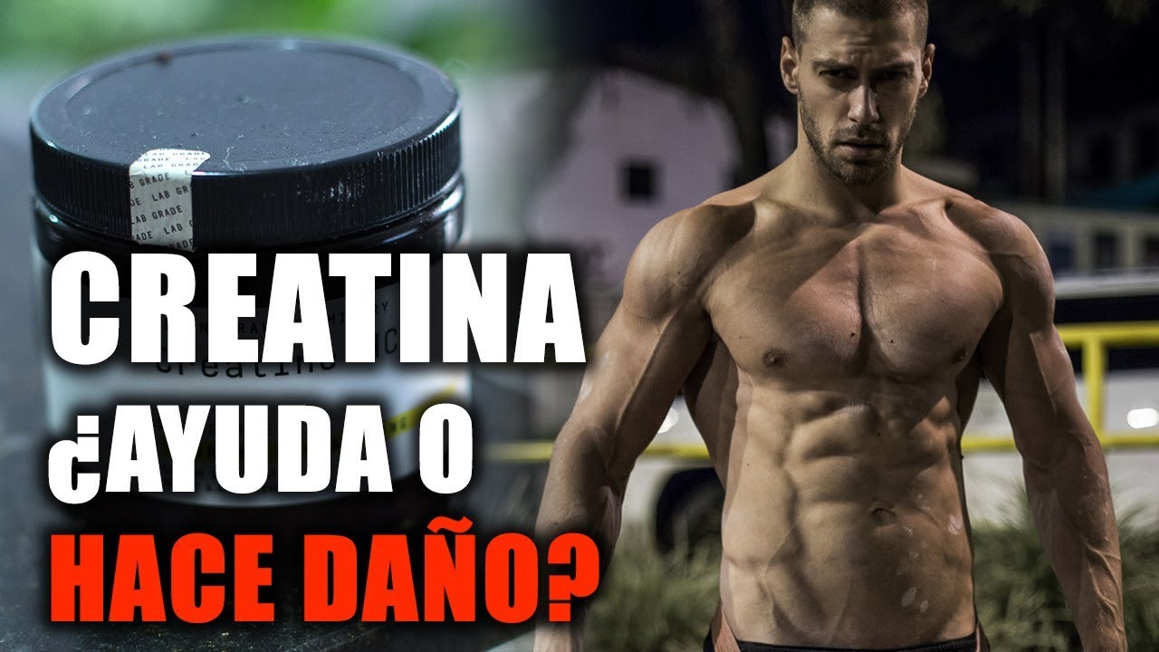 En que te ayuda la creatina en el gym