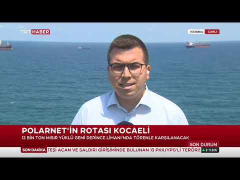 Nihan Koyuncu Yontar İle TRT Haber Öğlen Bülteni 7.08.2022