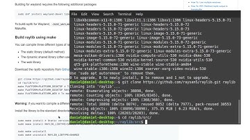 Raylib, installing, setting up, windows, vectors, graphics, etc