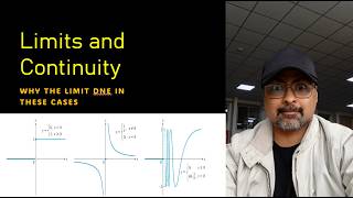 Celebrity Limits that don't exist: Visualizing x approaches zero Profile