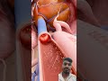 ❔🩺🥼🥀🤔🤯😯#viralpain #facts #doctor #facts #science #viral #3danimation #medical