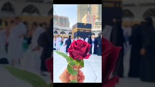 Download Lagu phool khilte hai padh padh ke Sally ala #iclamic #phool #music #india #islam MP3 Download Lagu phool khilte hai padh padh ke Sally ala #iclamic #phool #music #india #islam MP3
