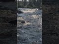 Река Калга август 2021, порог Офицерский #shorts #сплав #закат #порог #Калга