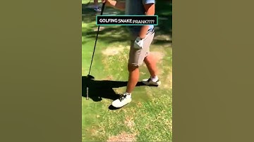 fake snake prank #shortvideo #viral #viralvideo #funny #pranks #snakeprank #fakesnakeprank
