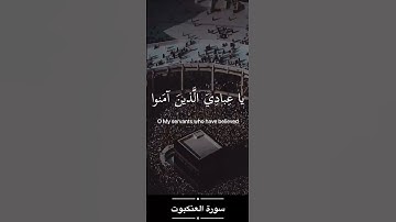 كُلُّ نَفْسٍ ذَآئِقَةُ الْمَوْتِ ~سورة العنكبوت