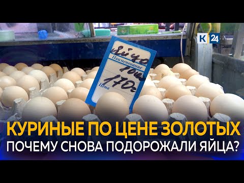 На Кубани резко повысились цены на куриные яйца